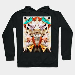 FOX COLLIDE Hoodie